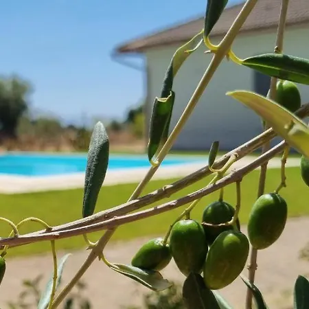 Вилла Accogliente Con Piscina *
