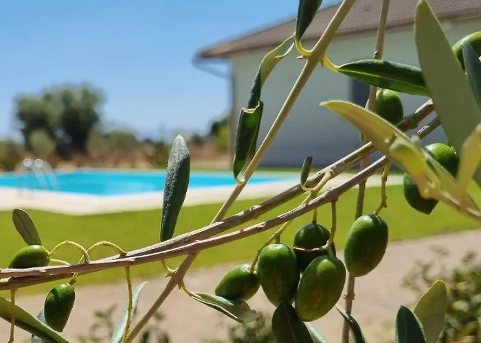 Вилла Accogliente Con Piscina *
