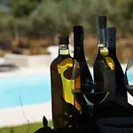 Accogliente Con Piscina וילה