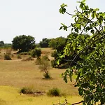Accogliente Con Piscina