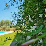 Accogliente Con Piscina וילה קלטג'ירונה