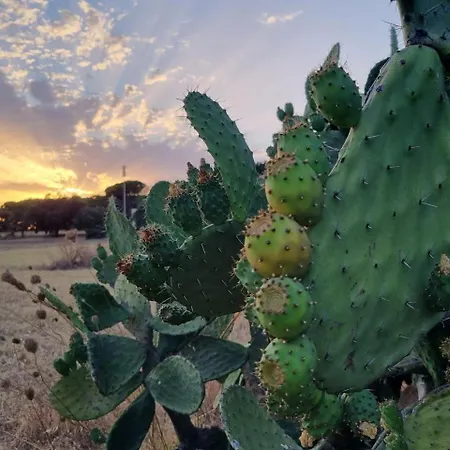 ヴィラ Accogliente Con Piscina
