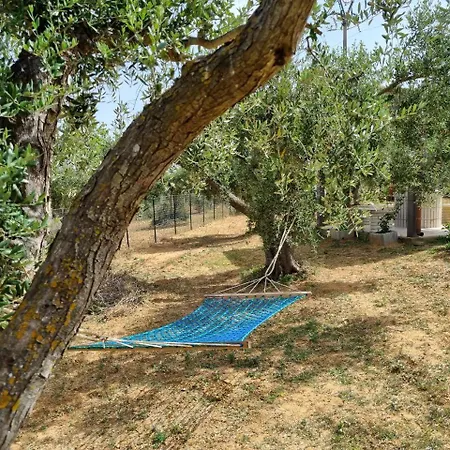 Villa Accogliente Con Piscina *