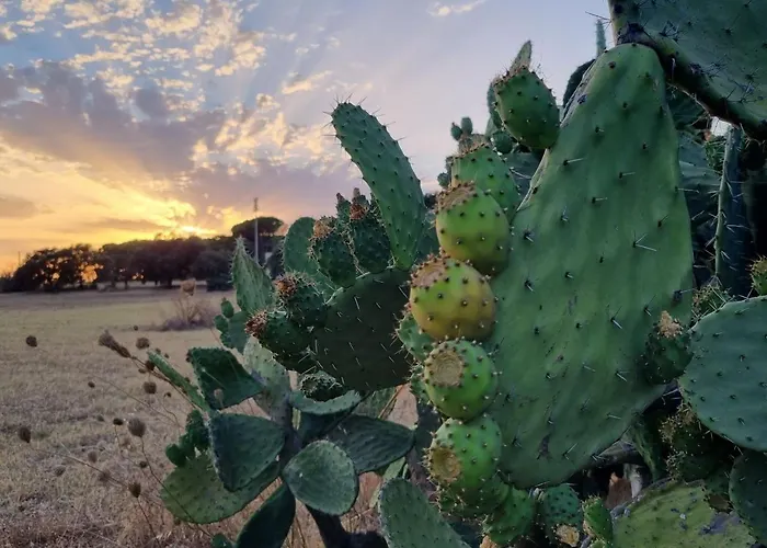 Villa Accogliente Con Piscina