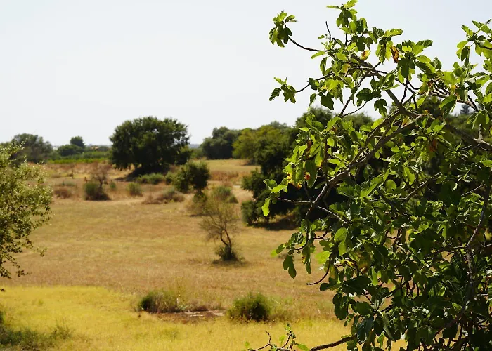 Accogliente Con Piscina