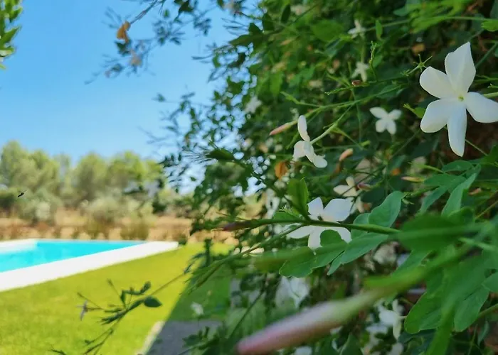 Accogliente Con Piscina Villa Caltagirone